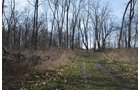 Property photo 132 - REAL ESTATE & PERSONAL PROPERTY AUCTION, 140 Acres offered in 8 Tracts or Combinations in Steuben County
